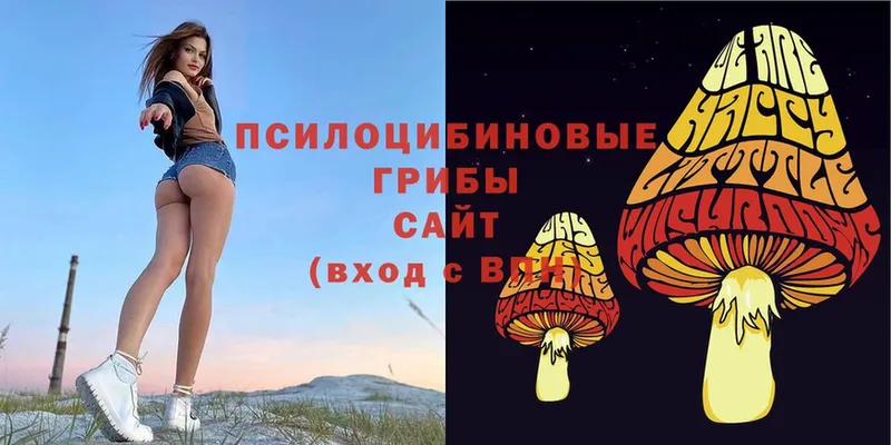 Галлюциногенные грибы Cubensis  Приволжск 